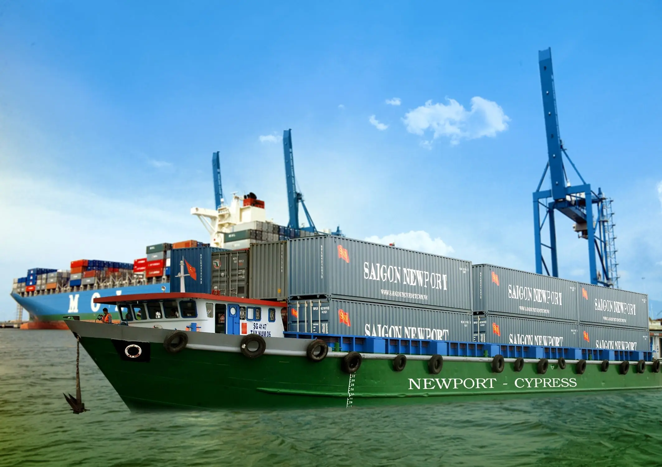 Tân Cảng - Cypress