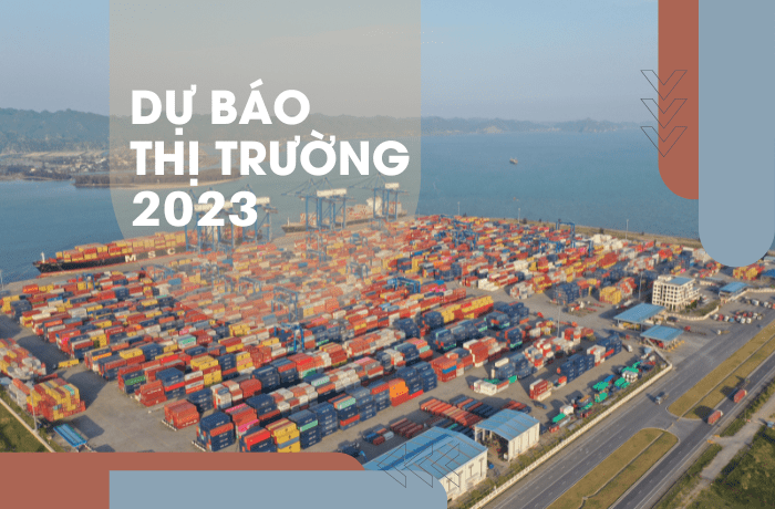 Dự báo tình hình thị trường trong nước và quốc tế năm 2023