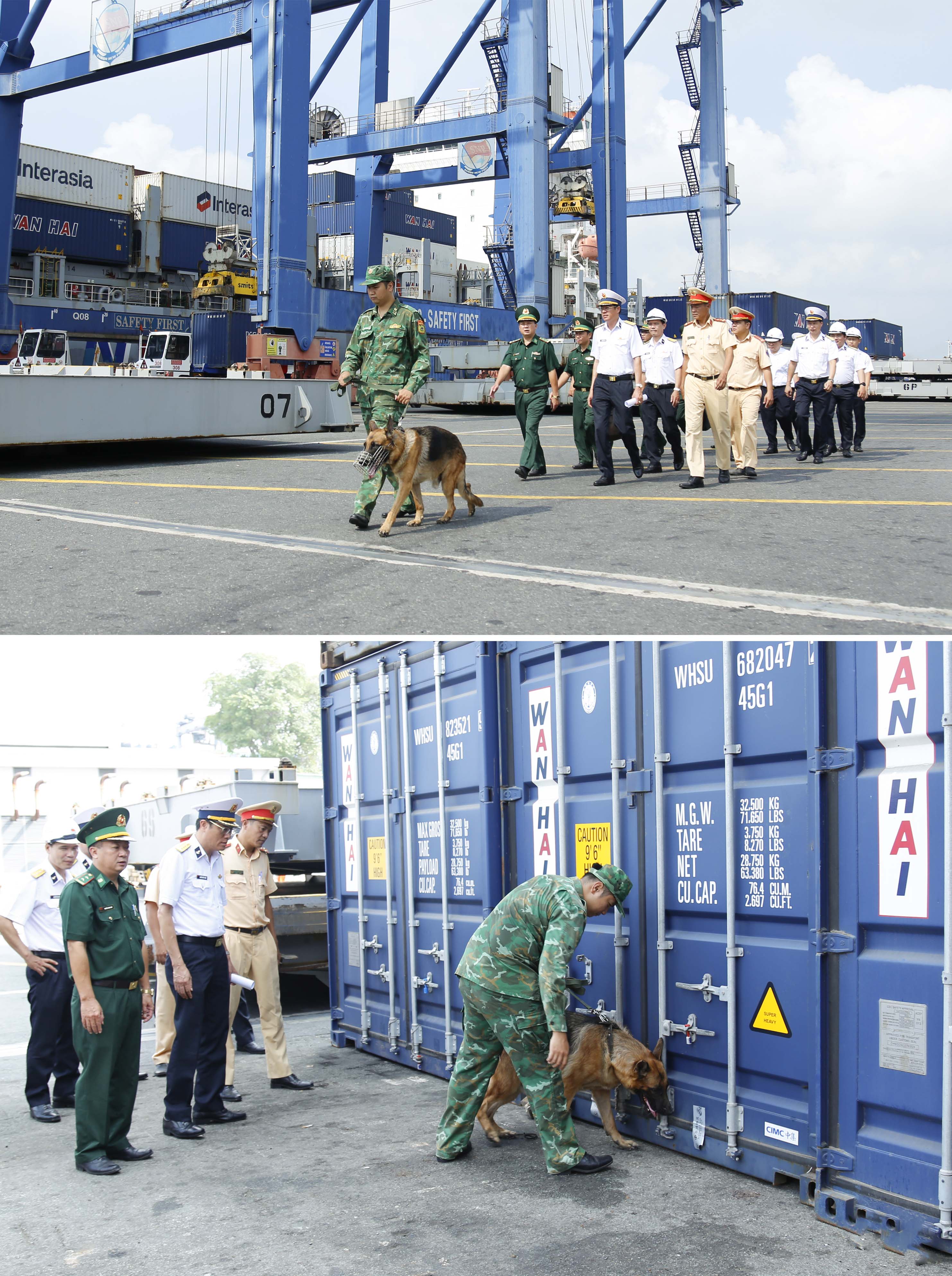 Các lực lượng kết hợp chó nghiệp vụ tuần tra tại cảng Tân Cảng Cát Lái